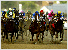 Welcome to The MELBOURNE CUP